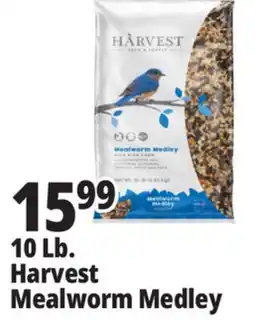 Ocean State Job Lot 10 Lb. Harvest Mealworm Medley offer