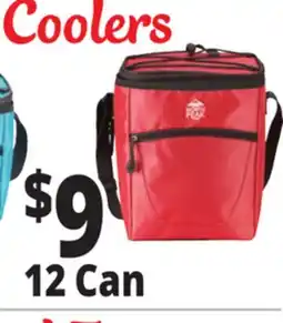 Ocean State Job Lot North Peak Insulated Vertical Cooler 12-Can offer