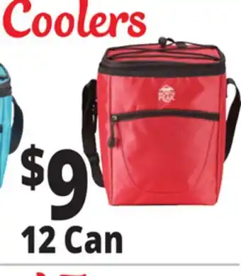 Ocean State Job Lot North Peak Insulated Vertical Cooler 12-Can offer