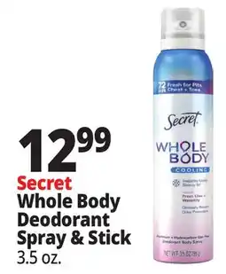 Ocean State Job Lot Secret Whole Body Deodorant Spray & Stick offer