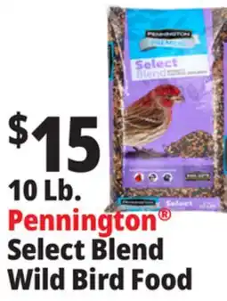 Ocean State Job Lot 10 Lb. Pennington Select Blend Wild Bird Food offer