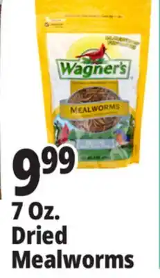 Ocean State Job Lot Wagner's Bird Meal Worms 7oz offer