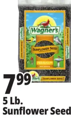 Ocean State Job Lot Wagner's Black Oil Sunflower Seed Wild Bird Food 5 lbs offer