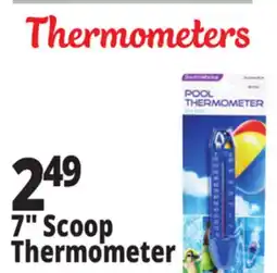 Ocean State Job Lot SwimWorks Pool & Spa Thermometer offer