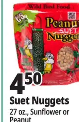 Ocean State Job Lot C&S Peanut Suet Nuggets Wild Bird Food 27 oz offer