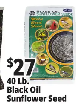 Ocean State Job Lot Black Oil Sunflower Seeds 40 lbs offer