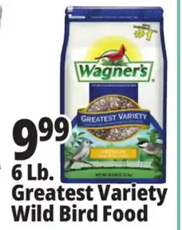 Ocean State Job Lot Wagner's Greatest Variety Deluxe Wild Bird Food offer
