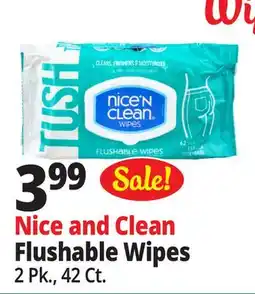 Ocean State Job Lot Nice'n Clean Flushable Wipes 42 ct offer