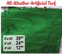 Ocean State Job Lot Artificial Grass offer