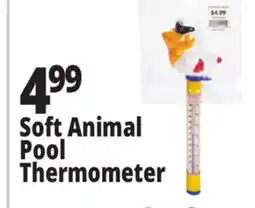 Ocean State Job Lot SwimWorks Deluxe Floating Thermometer offer
