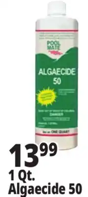 Ocean State Job Lot 1 Qt. Algaecide 50 offer