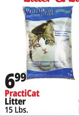 Ocean State Job Lot PractiCat Litter offer