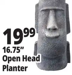 Ocean State Job Lot 16.75 Open Head Planter offer