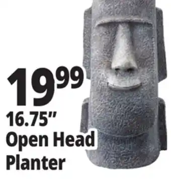 Ocean State Job Lot 16.75 Open Head Planter offer
