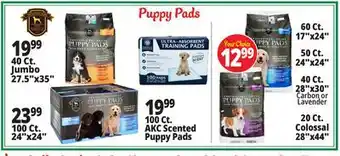 Ocean State Job Lot Puppy Pads offer