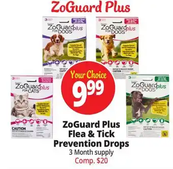 Ocean State Job Lot ZoGuard Plus Flea & Tick Prevention Drops offer
