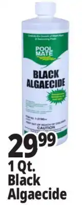 Ocean State Job Lot Pool Mate Black Algaecide 1 Qt offer