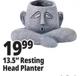 Ocean State Job Lot 13.5 Resting Head Planter offer