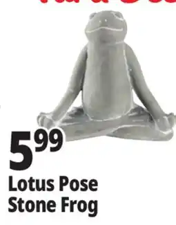 Ocean State Job Lot Stone Frog Statue offer