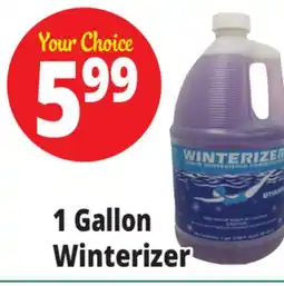 Ocean State Job Lot Pool Winterizer 1 Gal offer