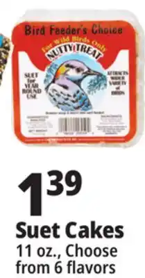 Ocean State Job Lot Bird Feeder's Choice Nutty Treat Suet 11 oz offer