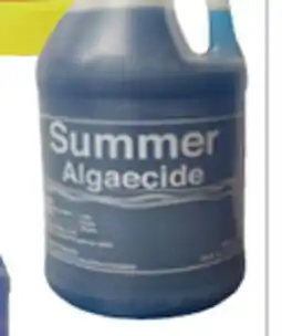 Ocean State Job Lot 1 Gallon Algaecide offer