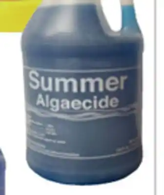 Ocean State Job Lot 1 Gallon Algaecide offer
