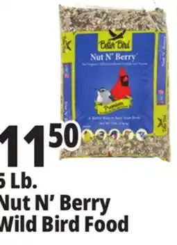 Ocean State Job Lot Better Bird Premium Nut N' Berry Bird Food 5 lbs offer