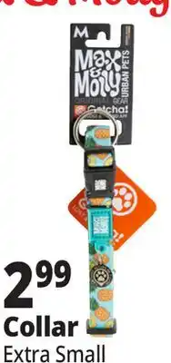 Ocean State Job Lot Collar Extra Small offer