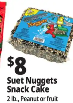 Ocean State Job Lot Suet Nuggets Snack Cake offer