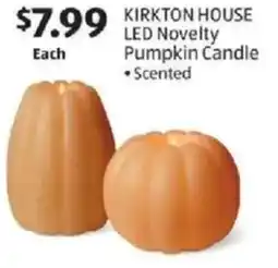 Aldi Kirkton house led novelty offer