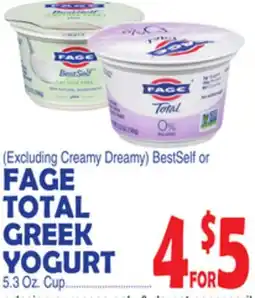 Bravo Supermarkets FAGE TOTAL GREEK YOGURT offer