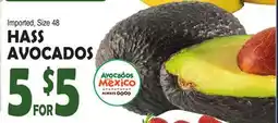 Bravo Supermarkets HASS AVOCADOS offer
