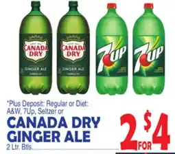 Bravo Supermarkets CANADA DRY GINGER ALE offer