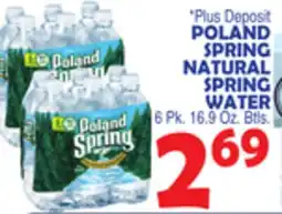 Bravo Supermarkets POLAND SPRING NATURAL SPRING WATER offer