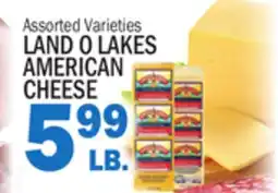 Bravo Supermarkets LAND O LAKES AMERICAN CHEESE offer