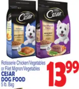 Bravo Supermarkets CESAR DOG FOOD offer
