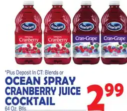 Bravo Supermarkets OCEAN SPRAY CRANBERRY JUICE COCKTAIL offer