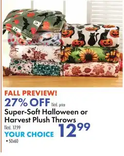 Boscov's Super-Soft Halloween or Harvest Plush Throws offer