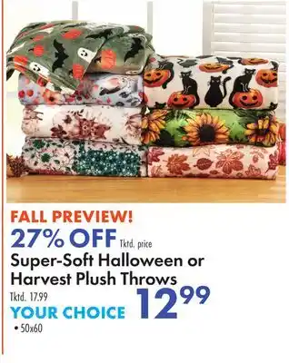 Boscov's Super-Soft Halloween or Harvest Plush Throws offer