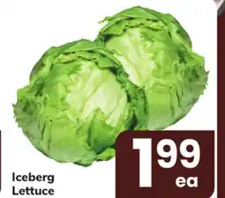 ACME Iceberg Lettuce offer