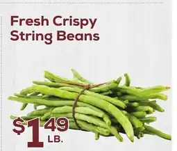 DeCicco & Sons Crispy String Beans offer