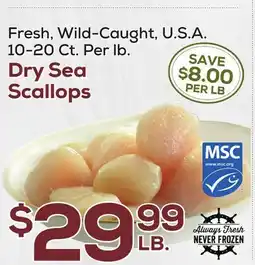 DeCicco & Sons Dry Sea Scallops offer