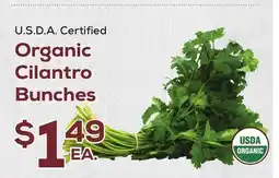 DeCicco & Sons Organic Cilantro Bunches offer