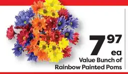 Weis Markets Value Bunch of Rainbow Painted Poms offer