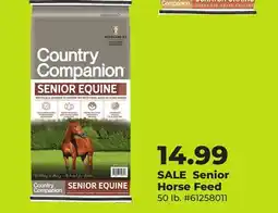 Runnings Senior Horse Feed offer