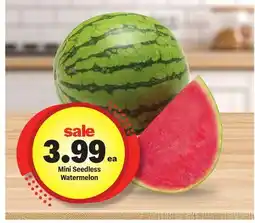 Meijer Mini Seedless Watermelon offer