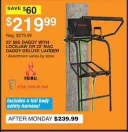 Dunham's Sports 22' BIG DADDY WITH LOCKJAW OR 22' MAC DADDY DELUXE LADDER offer