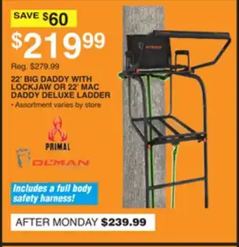 Dunham's Sports 22' BIG DADDY WITH LOCKJAW OR 22' MAC DADDY DELUXE LADDER offer