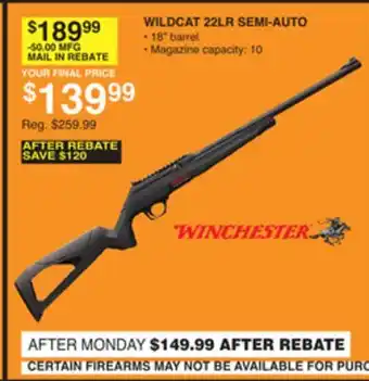 Dunham's Sports WINCHESTER WILDCAT 22LR SEMI-AUTO offer
